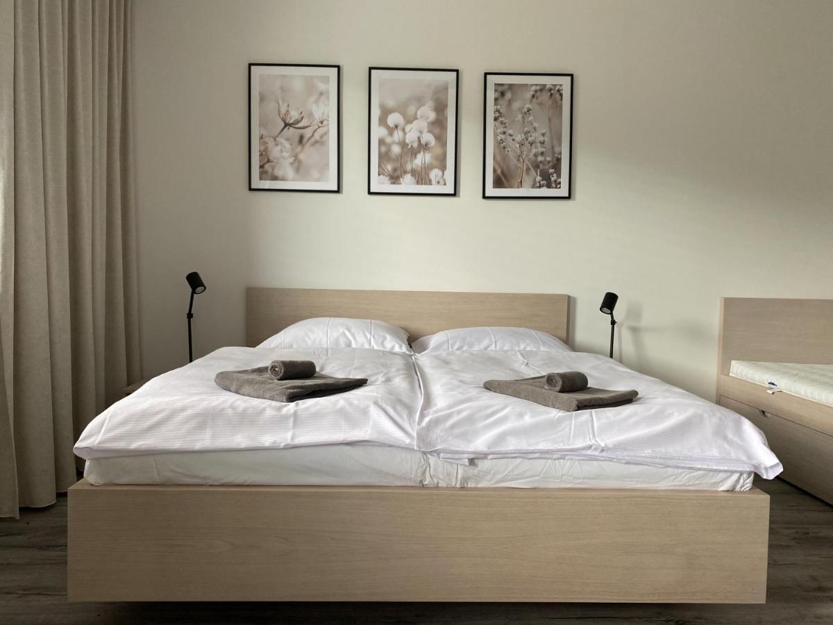 Apartman Luel Dolní Morava Extérieur photo
