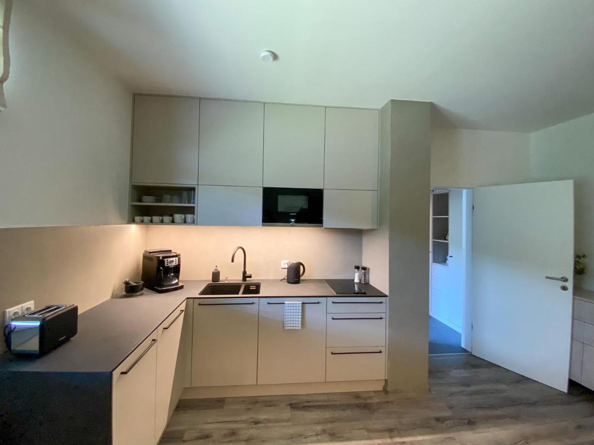 Apartman Luel Dolní Morava Extérieur photo